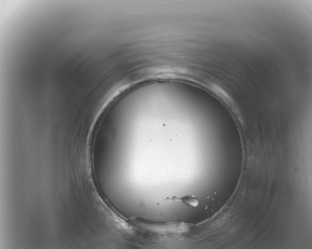 X0000062151384200512121256