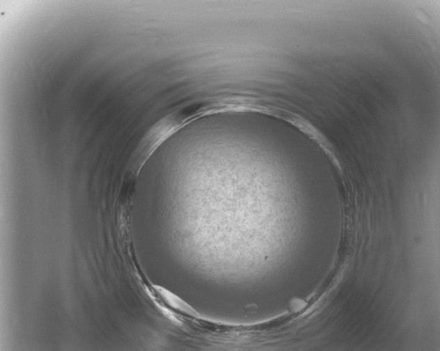 X0000062151385200512121256