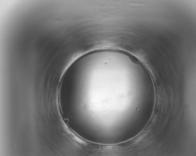 X0000062151390200512121256