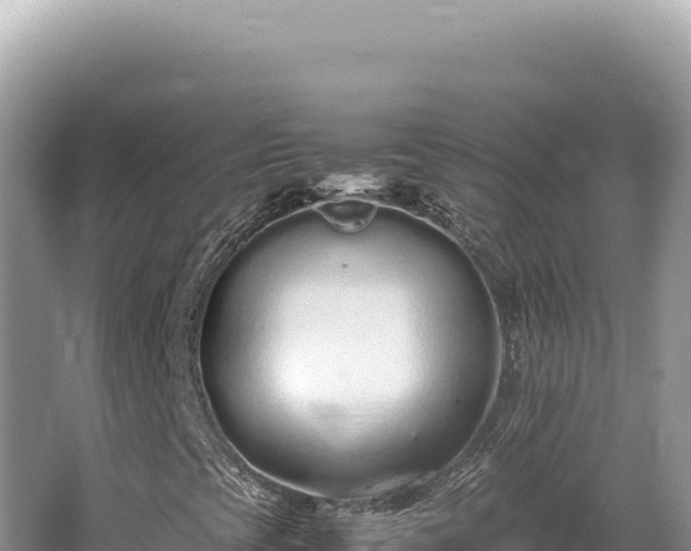 X0000062151393200512121255