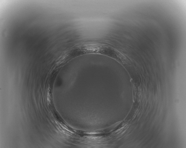 X0000062151394200512121255