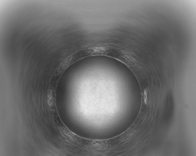 X0000062151395200512121255