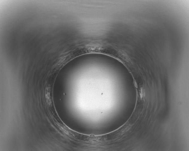 X0000062151396200512121255