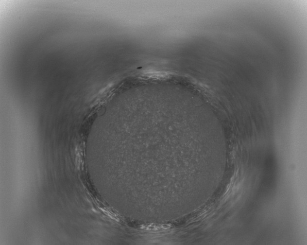 X0000062151397200512121255