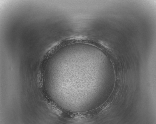 X0000062151398200512121255