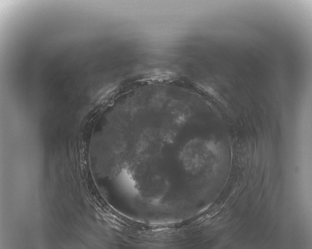 X0000062151399200512121255