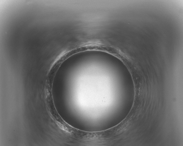 X0000062151400200512121255