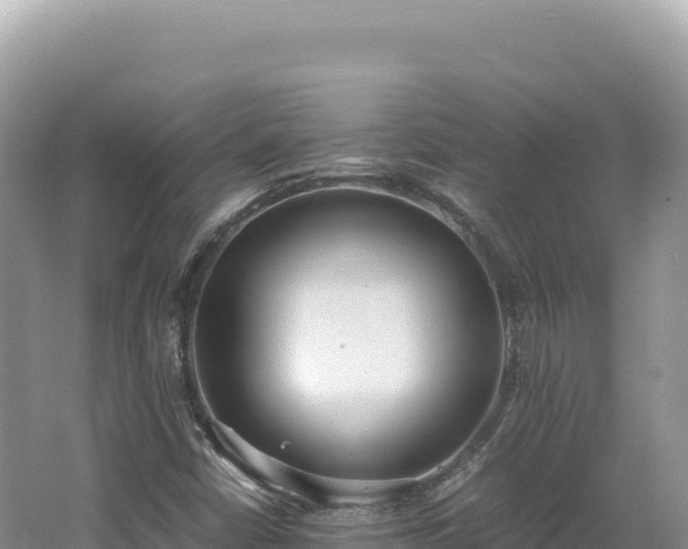 X0000062151402200512121255