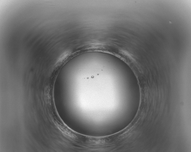 X0000062151403200512121255