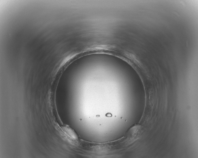 X0000062151404200512121255