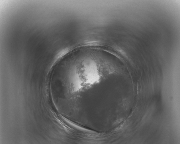 X0000062151405200512121255