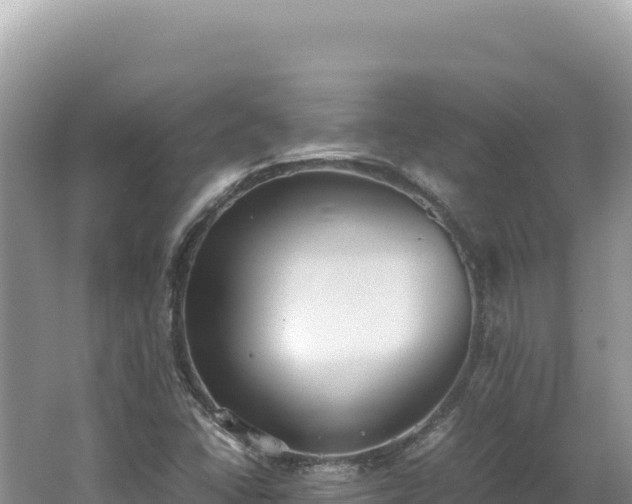 X0000062151406200512121255