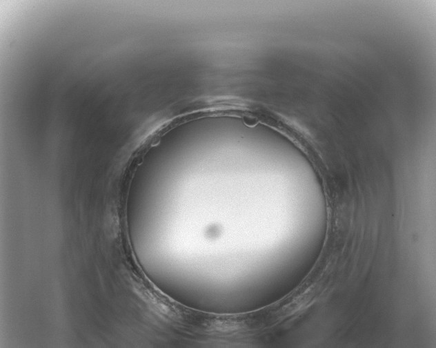 X0000062151407200512121255