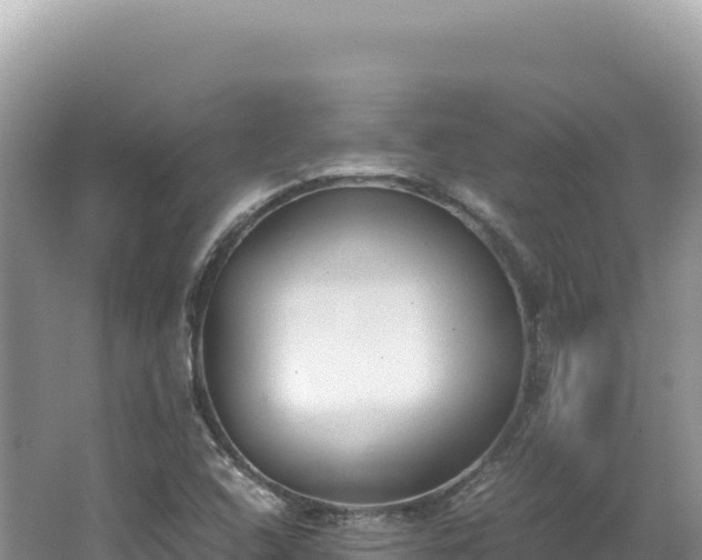 X0000062151408200512121255