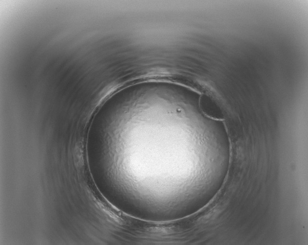 X0000062151409200512121255