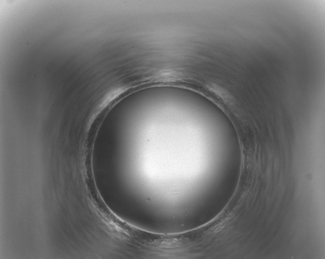 X0000062151410200512121255