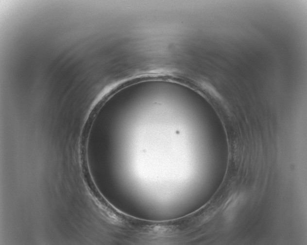 X0000062151412200512121255