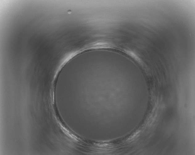 X0000062151413200512121255