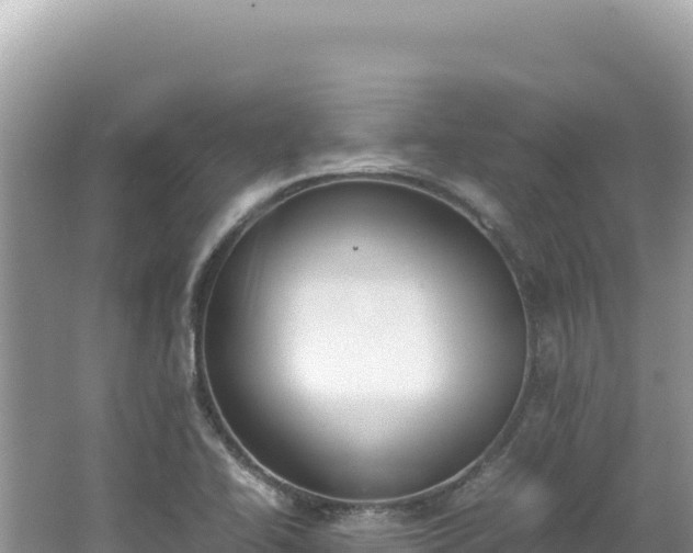 X0000062151414200512121255