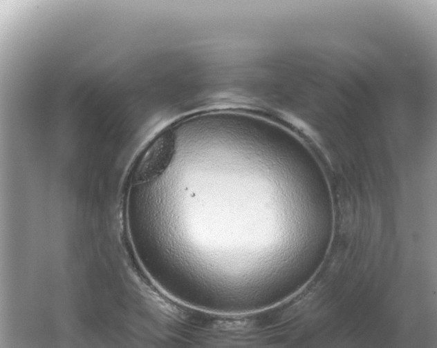 X0000062151415200512121255