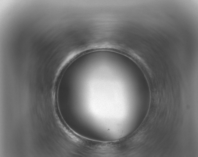 X0000062151416200512121255