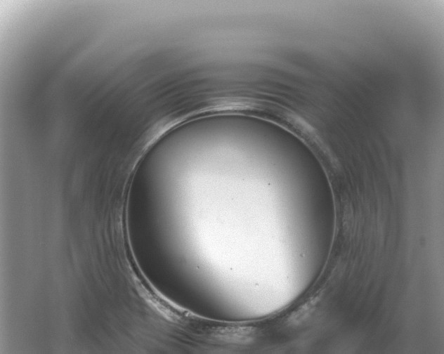 X0000062151417200512121256