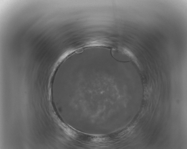 X0000062151419200512121256