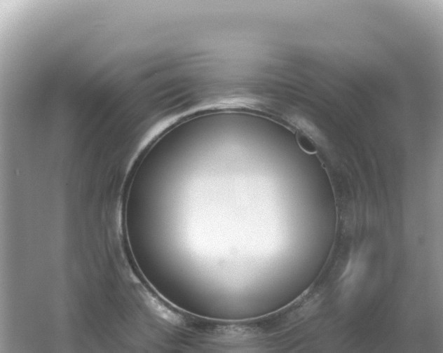 X0000062151420200512121256