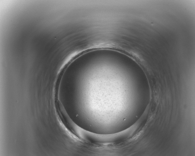 X0000062151422200512121256