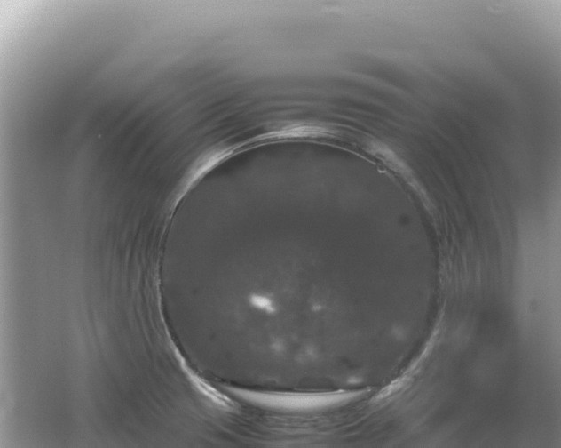 X0000062151425200512121256