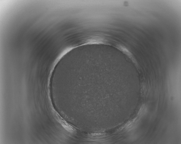 X0000062151427200512121256