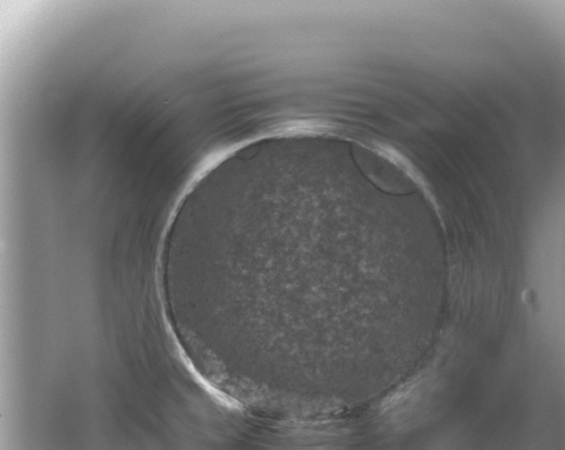 X0000062151429200512121256