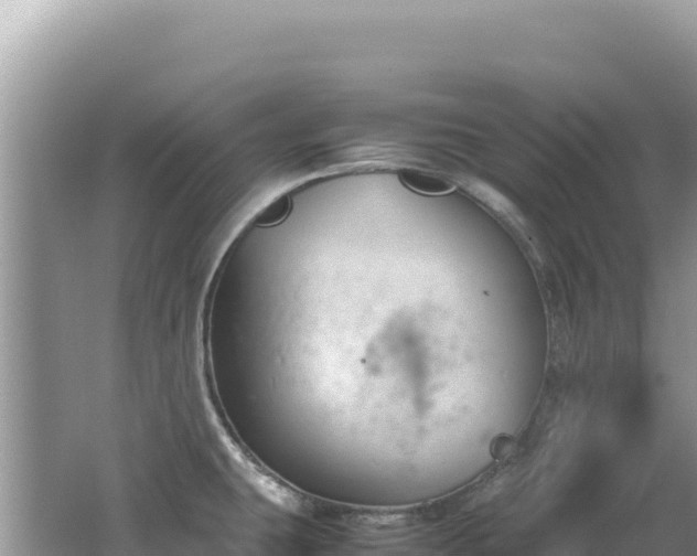 X0000062151431200512121256