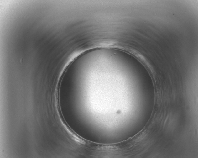 X0000062151432200512121256