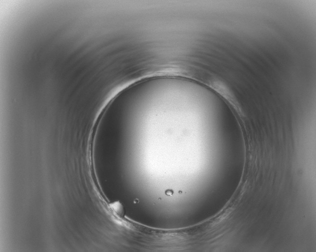 X0000062151436200512121256