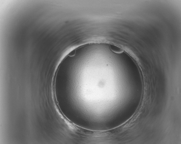 X0000062151440200512121256