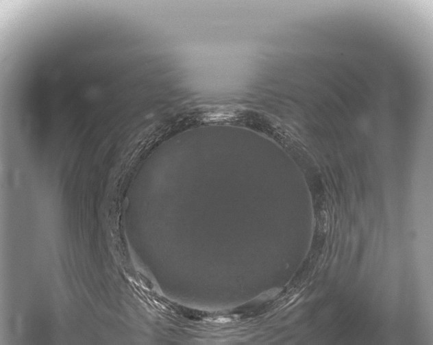 X0000062151441200512121255