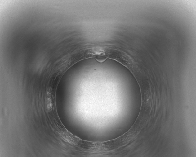 X0000062151442200512121255