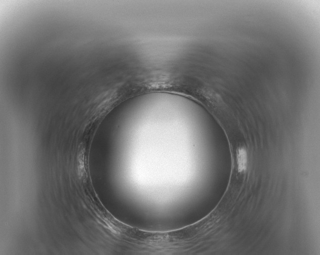 X0000062151444200512121255