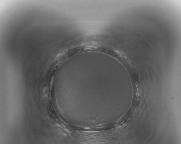 X0000062151445200512121255