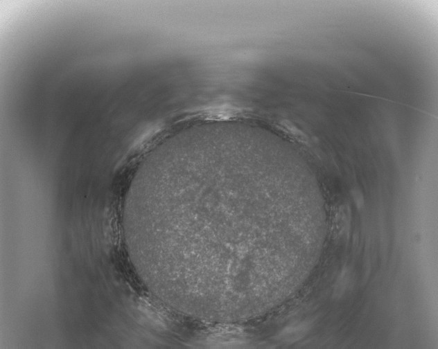 X0000062151446200512121255