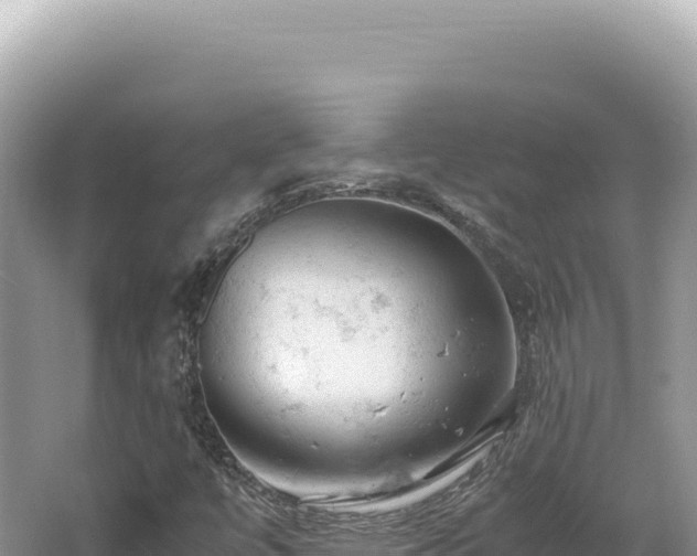 X0000062151447200512121255