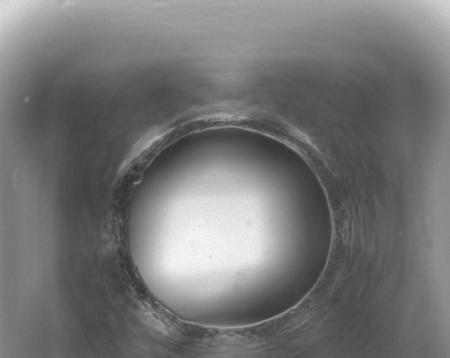 X0000062151448200512121255