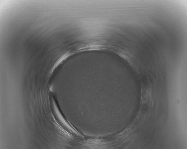 X0000062151450200512121255