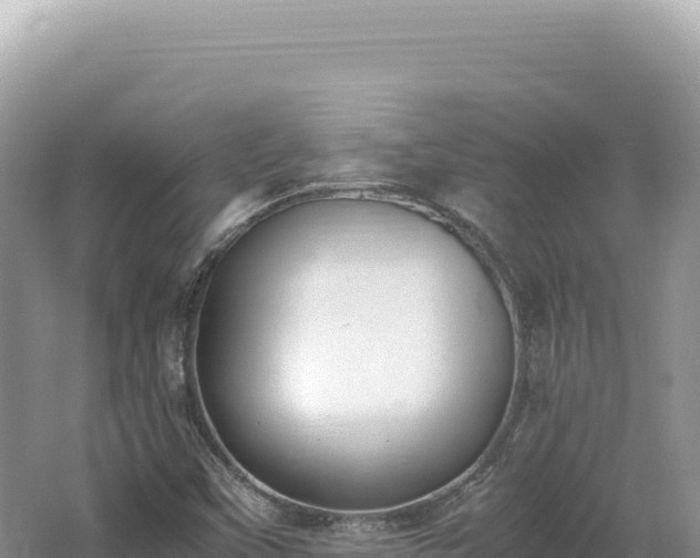 X0000062151451200512121255