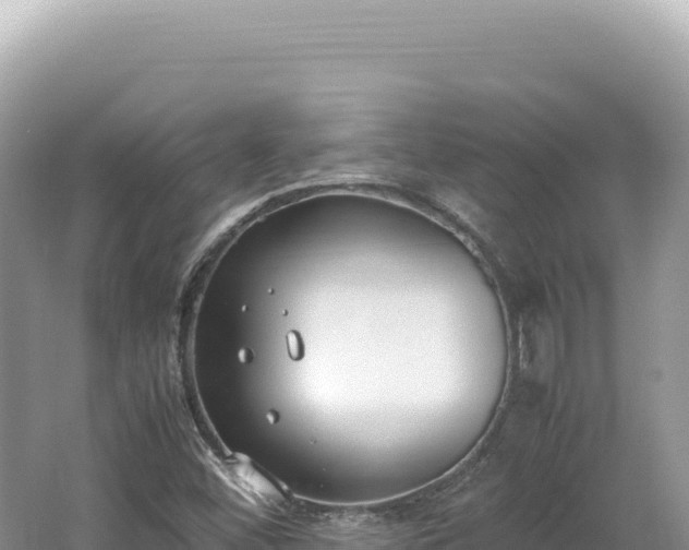 X0000062151452200512121255