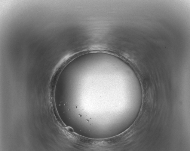 X0000062151454200512121255