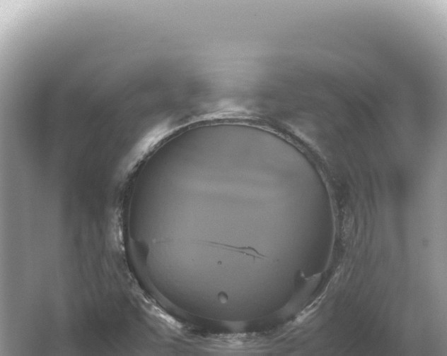 X0000062151455200512121255