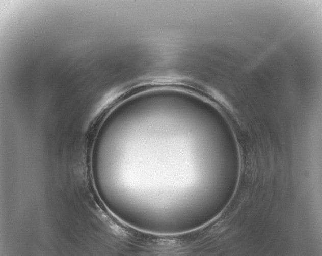 X0000062151456200512121255