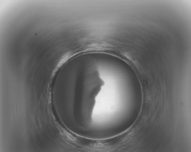 X0000062151459200512121255